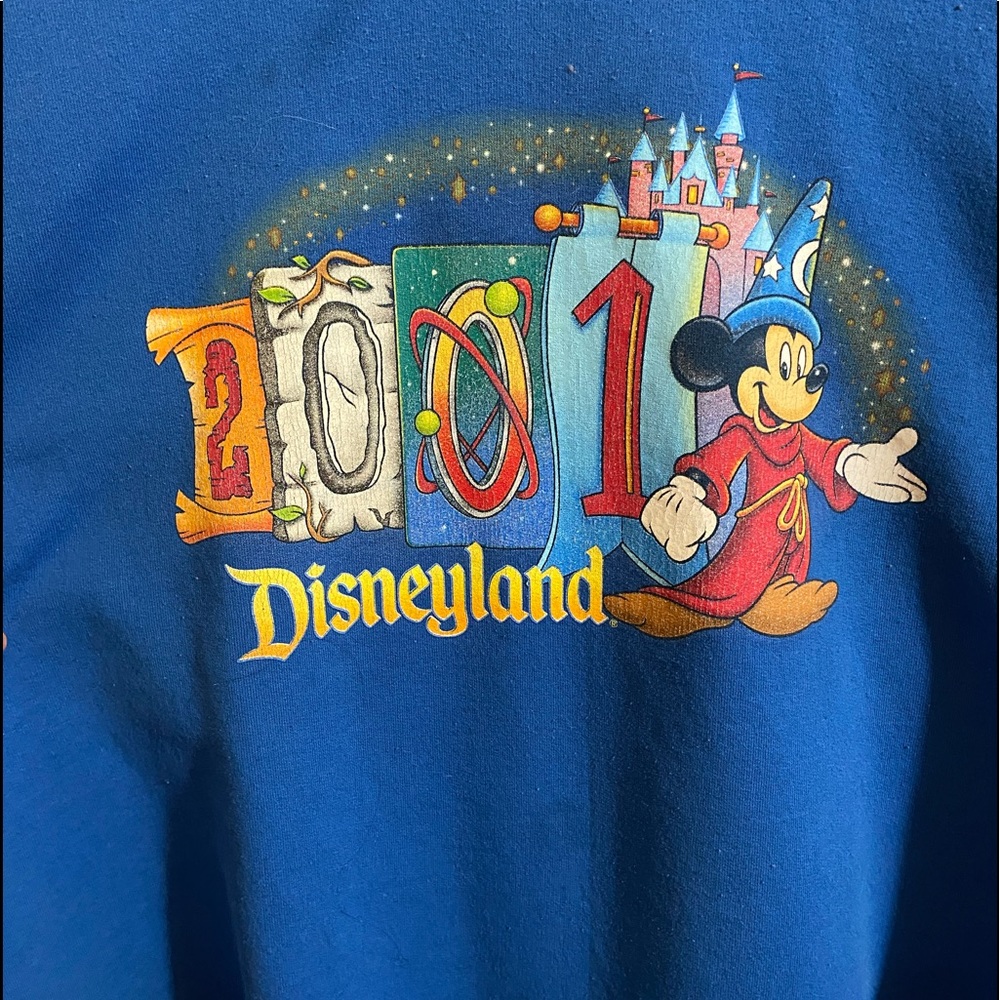 Vintage 2001 Disney Land sweatshirt